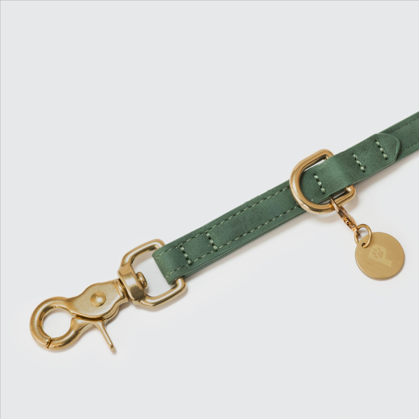 Hundeleine Limonera Oliva