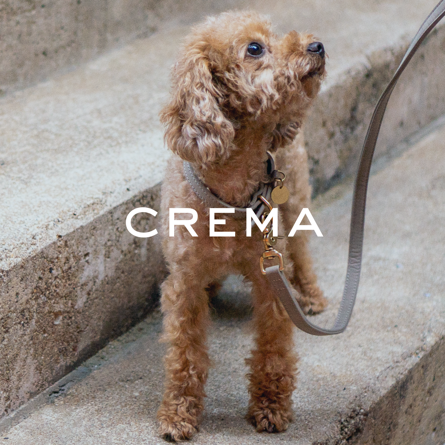 CREMA