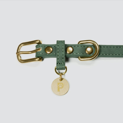 Hundehalsband Limonera Oliva